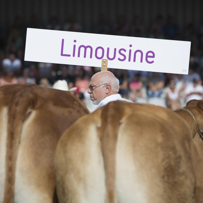 Foire Agricole de Libramont Foire Agricole de Libramont
