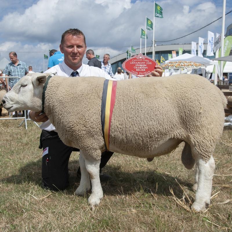 Foire Agricole de Libramont Foire Agricole de Libramont